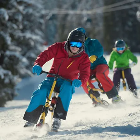 Lisa-chalets Flachau