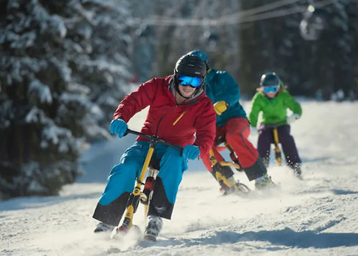 Lisa-chalets Flachau